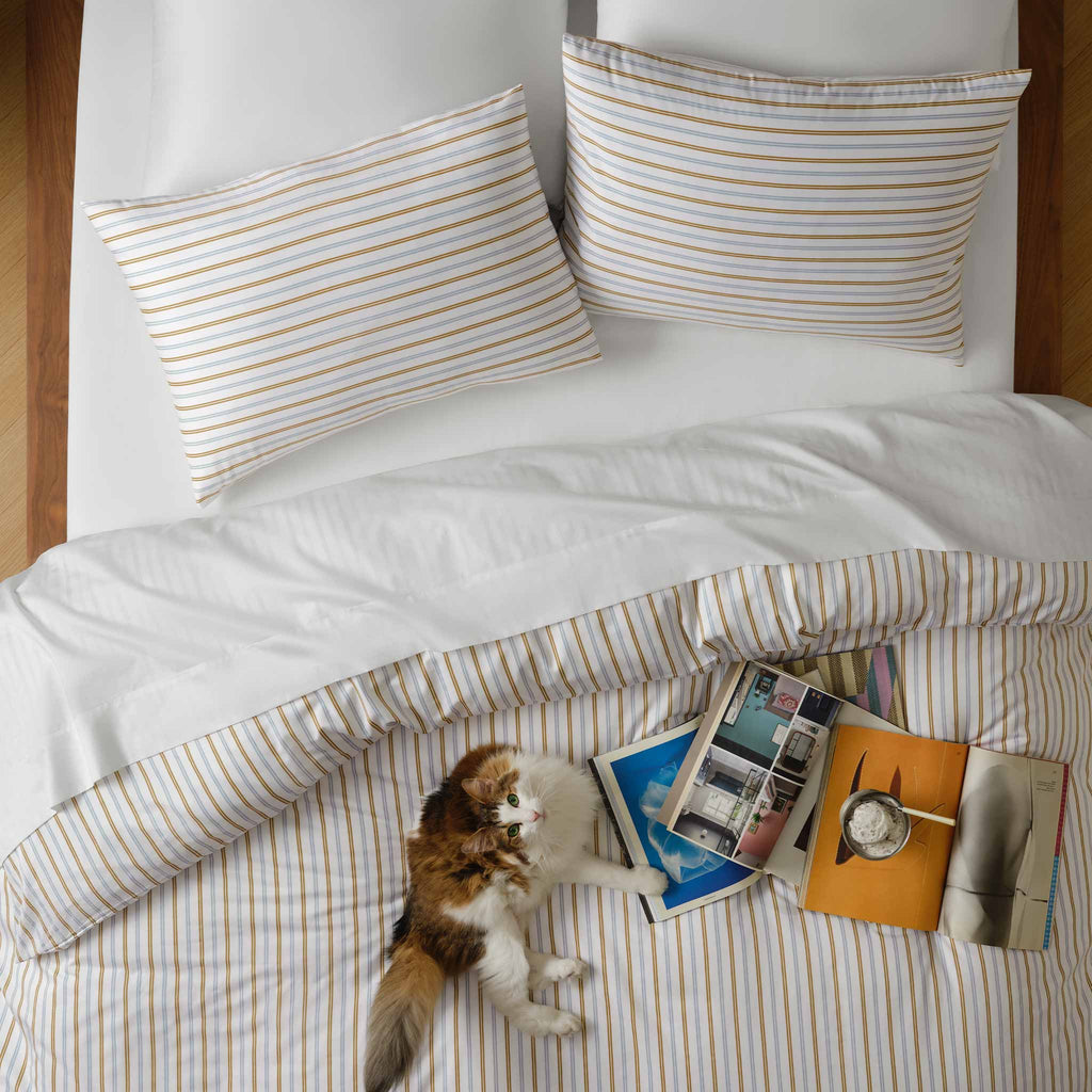 Luxe Sateen Bedding Move-In Bundle