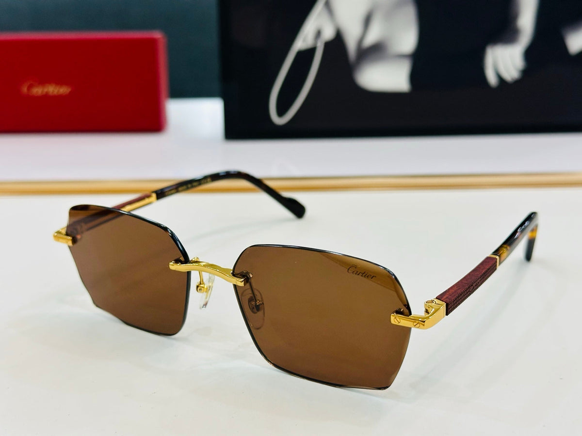 CARTIER SIGNATURE C DE RECTANGULAR FRAME SUNGLASSES CT0483S IN METAL AND WOODEN